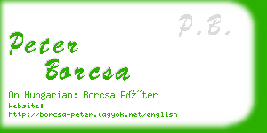 peter borcsa business card